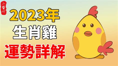 1957屬雞2022運勢|1957年生肖雞在2022年總運勢分析，各方面都很好